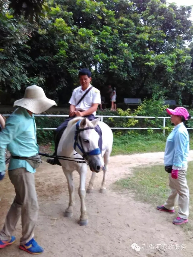 ���ҷ���׌��������á�2015��B�T�м�����(ji��)���(d��ng)��