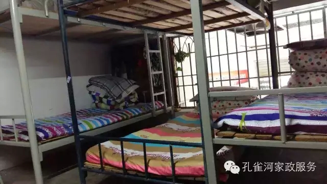 ��ȸ�Ӽ�����ķ������ů��ů��������