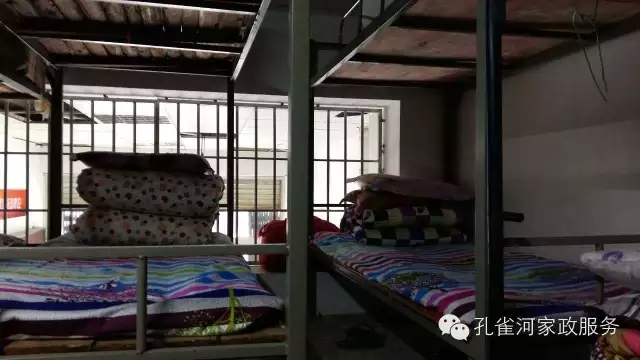 ��ȸ�Ӽ�����ķ������ů��ů��������