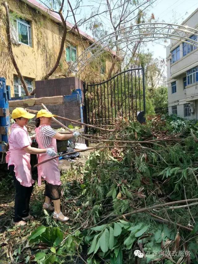 ��������y���������