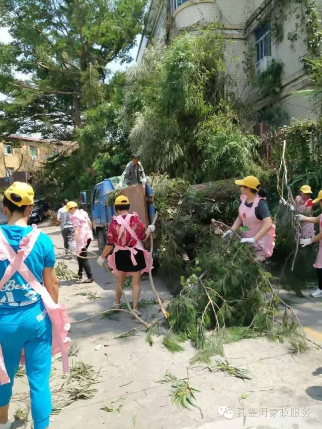 ��������y���������