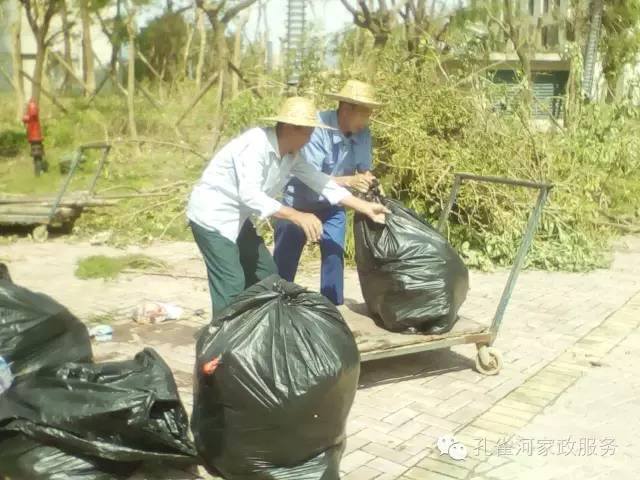 ��������y���������