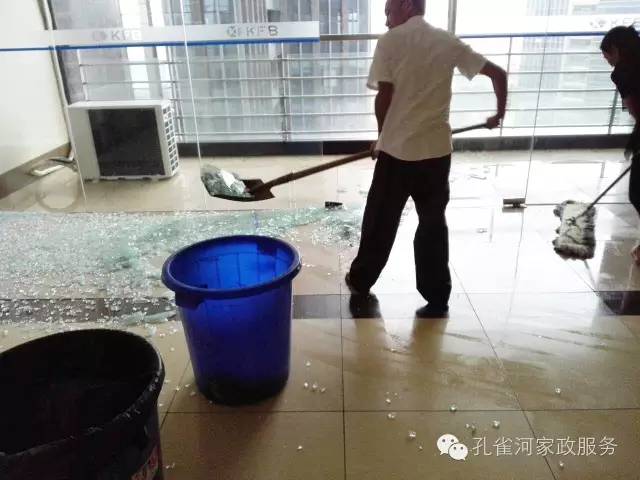 ��������y���������