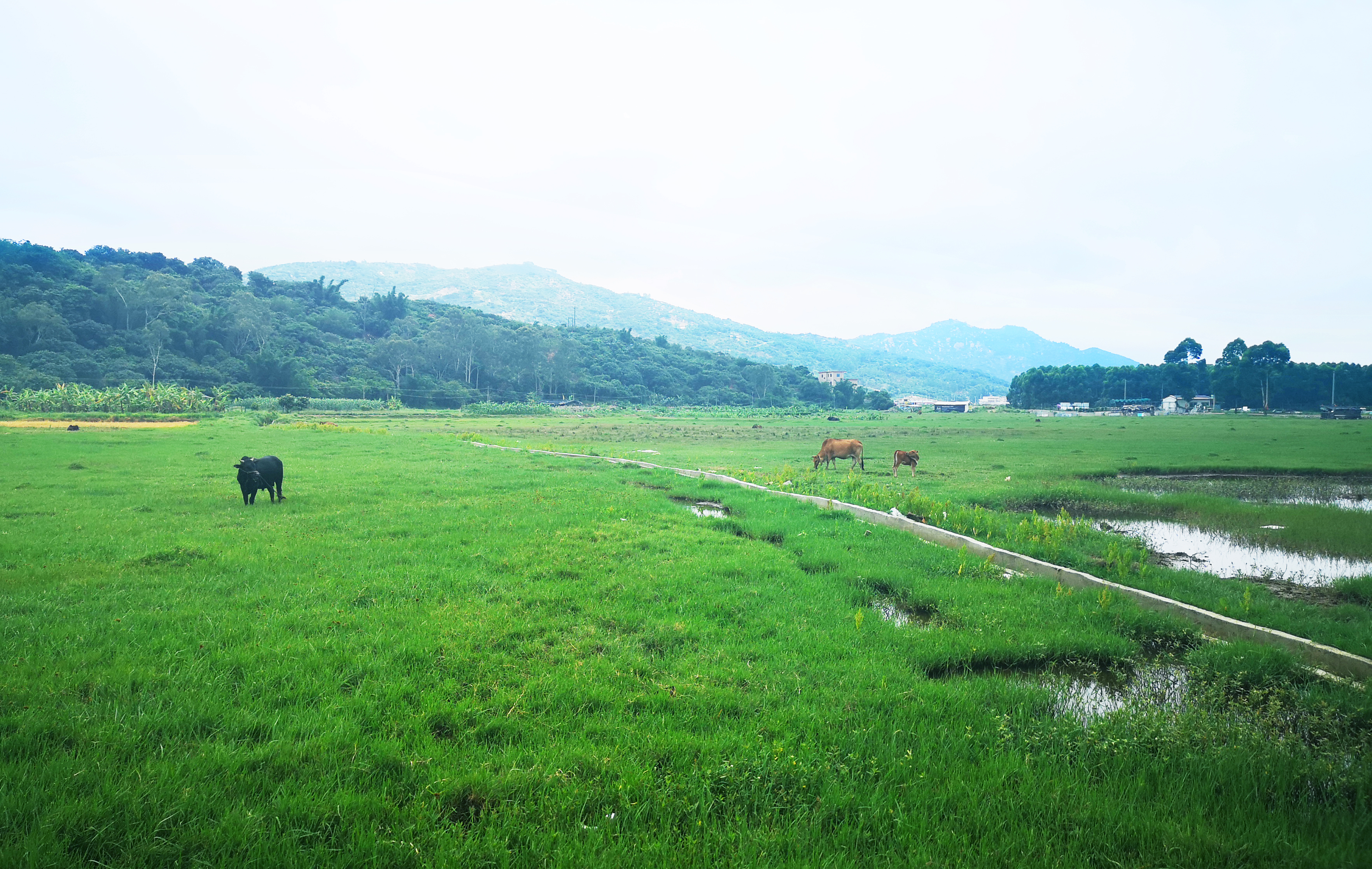 ���؄e��Ϣ���@�ε��ի@�H�S����ȸ���H�ӻ�������Y(ji��)������