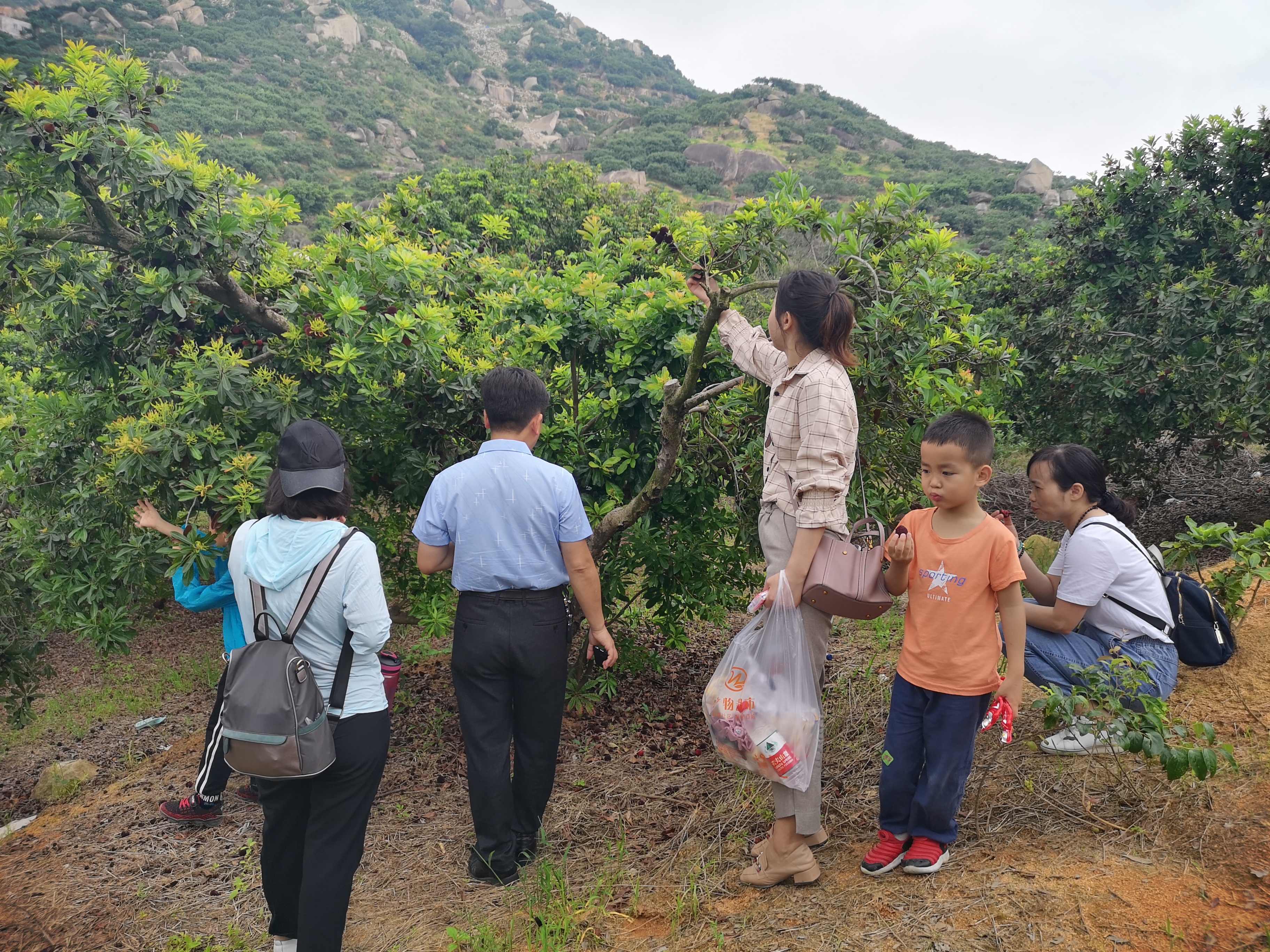 ���؄e��Ϣ���@�ε��ի@�H�S����ȸ���H�ӻ�������Y(ji��)������