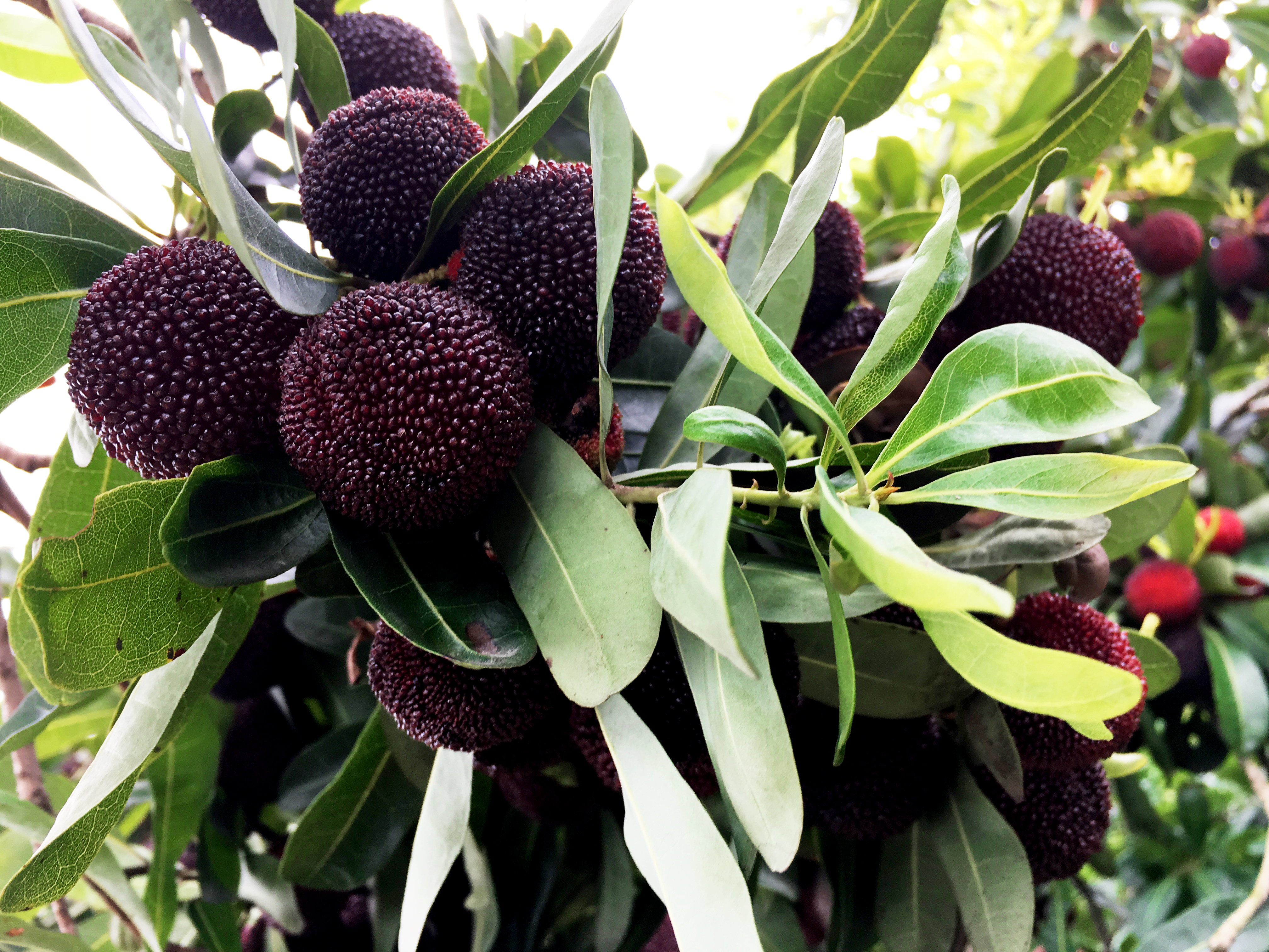 ���؄e��Ϣ���@�ε��ի@�H�S����ȸ���H�ӻ�������Y(ji��)������